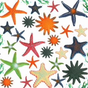 24 Pcs Big Diving Toys Colorful Starfish Toys Summer Swimming Pool Toys Set Soft Dive Starfish Toy Underwater Swimming Toy Set for Games Pool Use