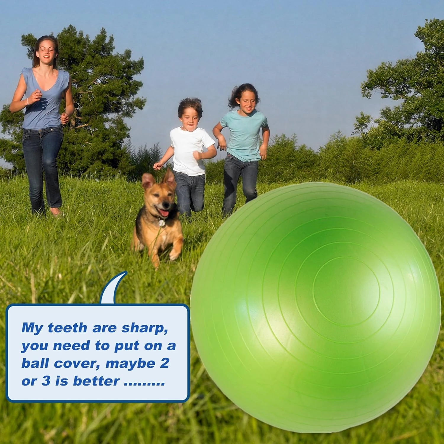 40 Inch Horse Ball Toy Mega Herding Ball Giant Horse Soccer, Pump Included