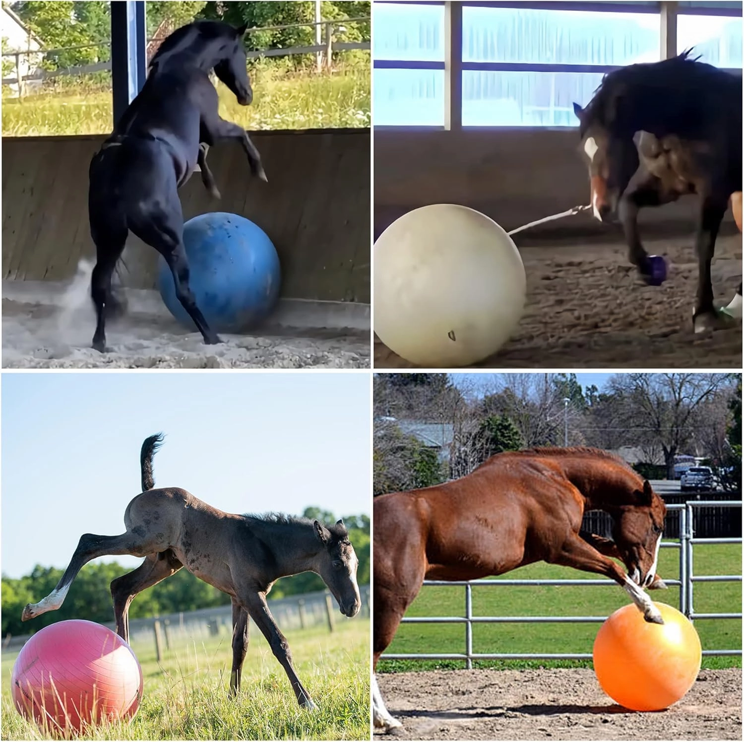 40 Inch Horse Ball Toy Mega Herding Ball Giant Horse Soccer, Pump Included