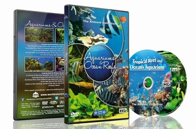 Aquarium DVD - 2 DVD SET Aquariums & Ocean Reefs with Colorful Corals & Fishes