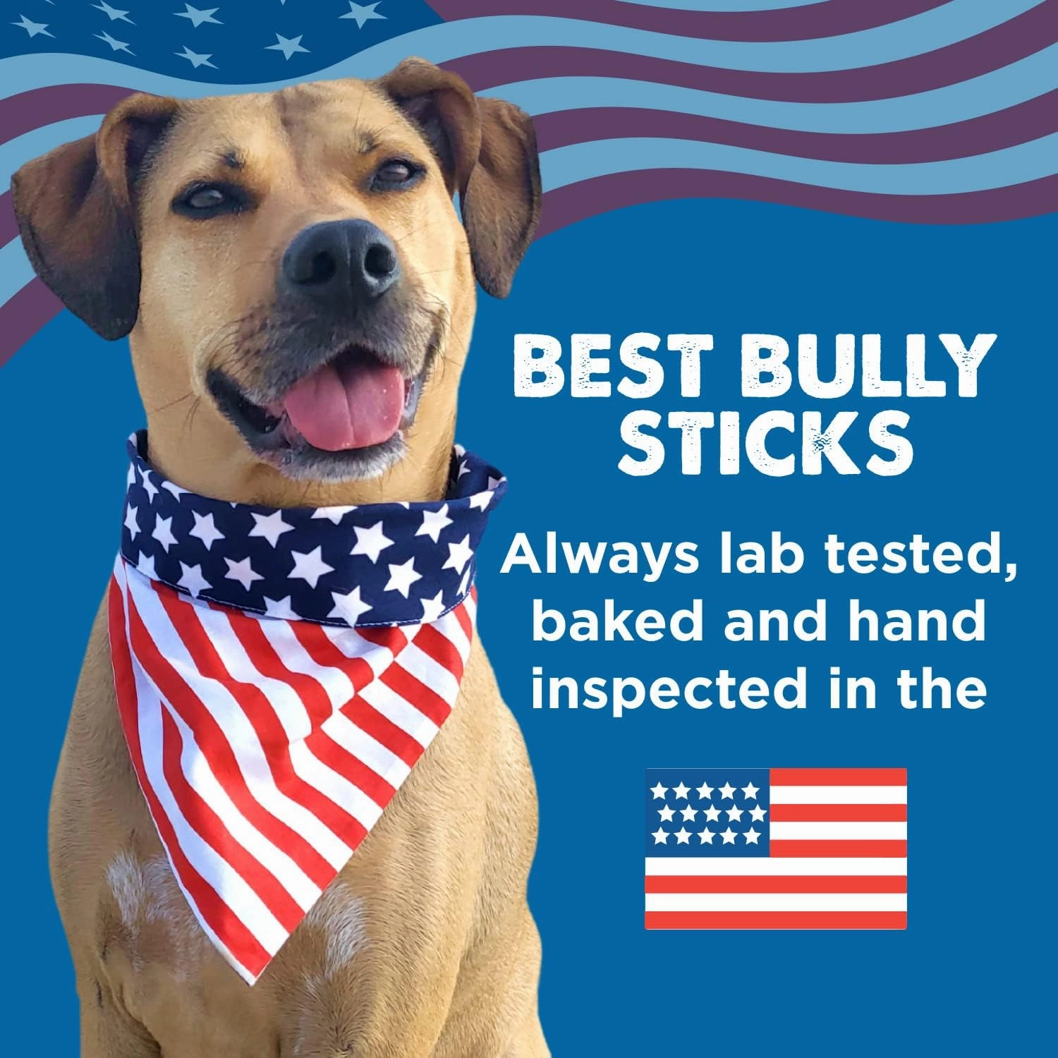 Best Bully Sticks 6 Inch Thick Bully Sticks for Dogs - 5 Count (Pack of 1) - All-Natural, Grass-Fed Beef, Single Ingredient, Grain and Rawhide Free - Large Breeds