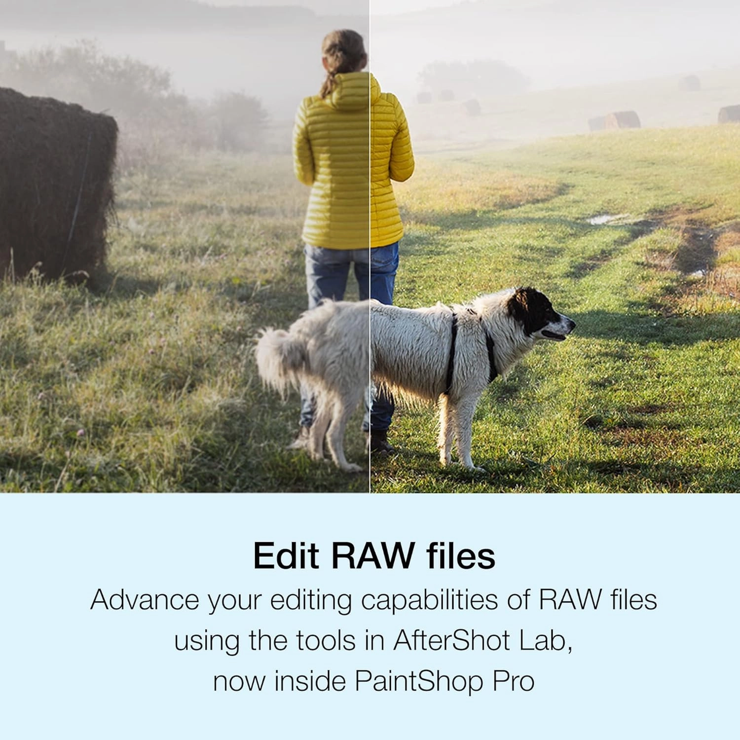 Corel PaintShop Pro 2023 | Powerful Photo Editing & Graphic Design Software [PC Download]