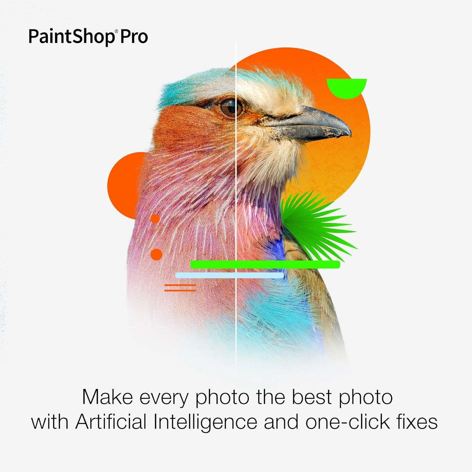 Corel Photo Video Pro Bundle 2023 | PaintShop Pro 2023 and VideoStudio Pro 2023 | Photo and Video Editing Software [PC Download]