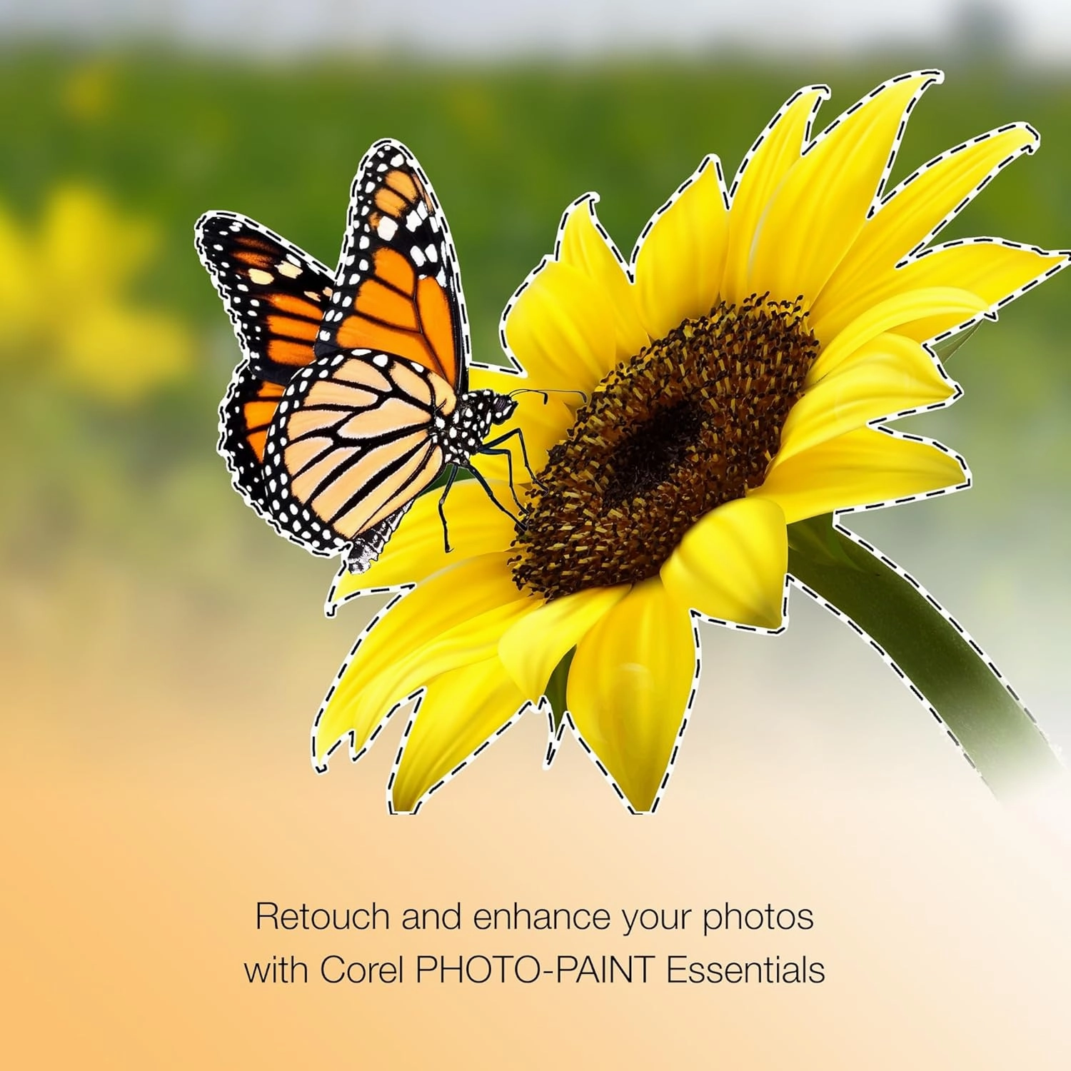 CorelDRAW Essentials 2024 | Graphics Design Software for Occasional Users | Illustration, Layout, and Photo Editing [PC Download]