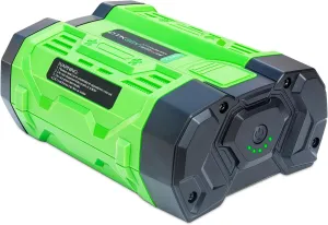 DTK Battery Replacement for EGO 56V Battery 2.5Ah Batteries Compatible with BA1400T BA2800 BA4200T BA5600T Lightweight and Easy to Carry