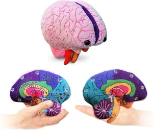 GIANTmicrobes Brain Model, Human Brain Anatomy Model, Brain Model for Kids, Brain Model for Neuroscience, Brain Model for Teaching, Brain Model for Psychology, 3D Brain Model, Brain Anatomy Toy