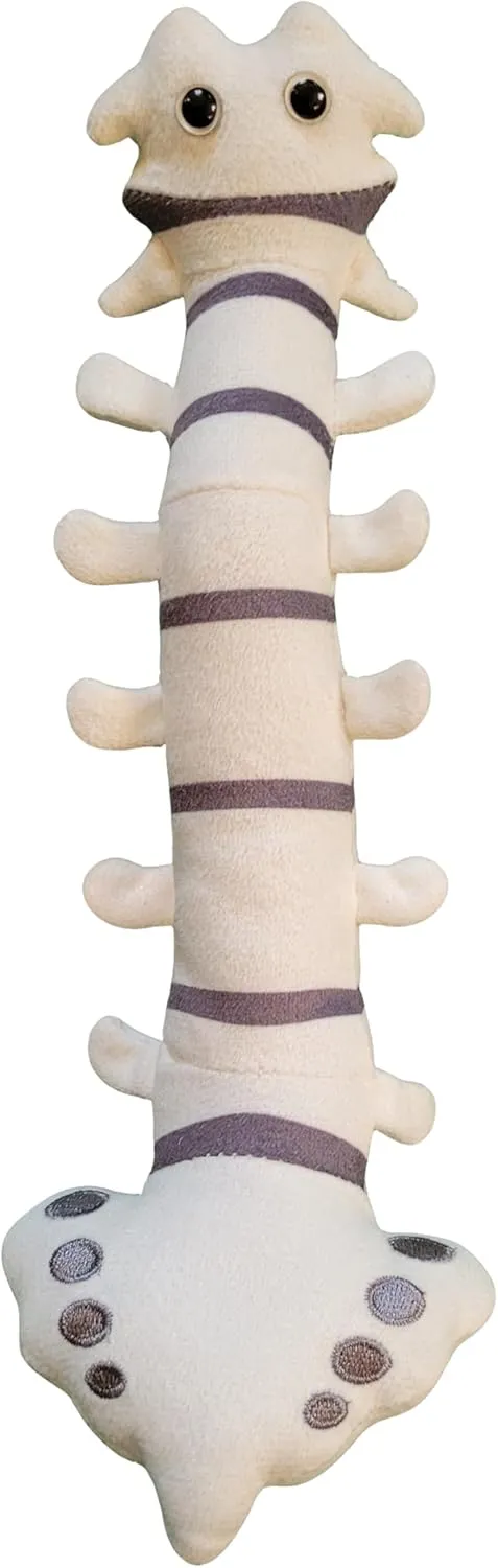GIANTmicrobes Spine Plush, Spine Surgeon Gifts, Back Surgery Recovery Gifts, Lumbar Spine Model, Neurology Gifts, Funny Chiropractor Gifts, Neurosurgery Gifts, Neurosurgeon Gifts, Back Pain Gifts