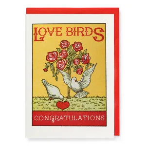 Love Birds Greeting Card