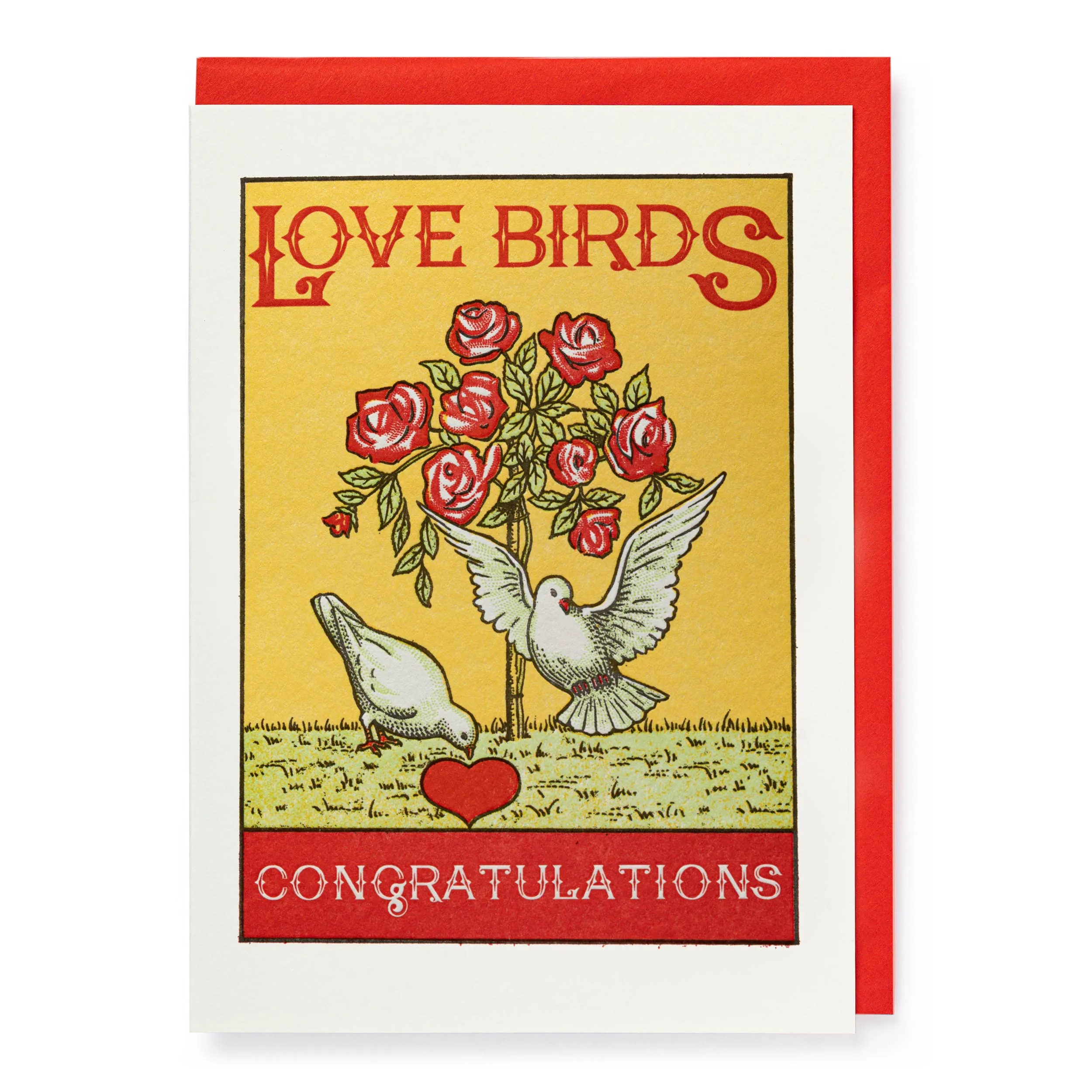 Love Birds Greeting Card