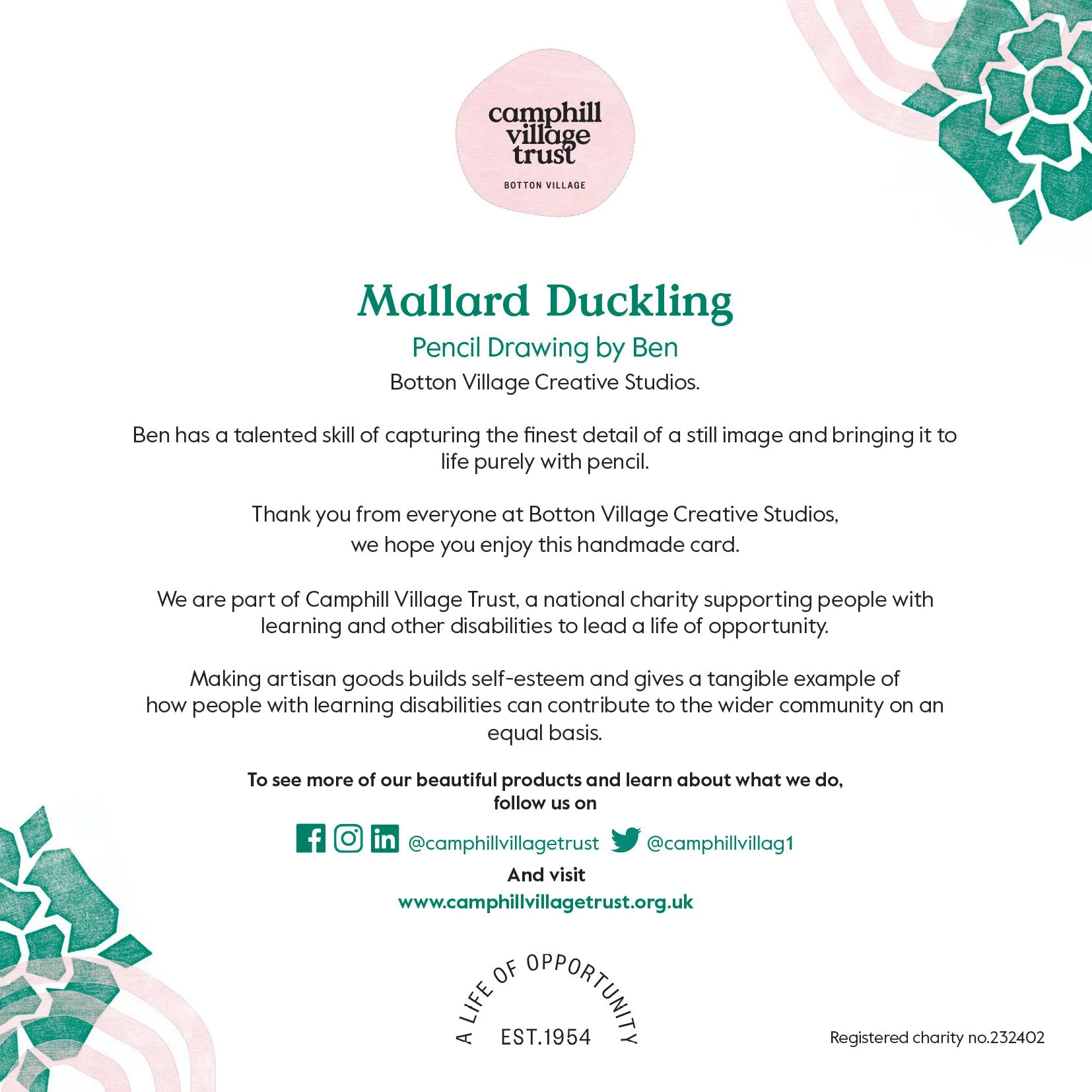 Mallard Duckling Pencil Drawing Greeting Card