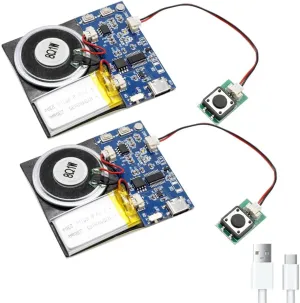 Module - 16MB Push Button Activated Sound Module with Speaker, Type-C Cable, and Easy Recording Capability16 Minutes for Personalized Greetings, DIY Projects, and Holiday Crafts (Blue-2Pack)