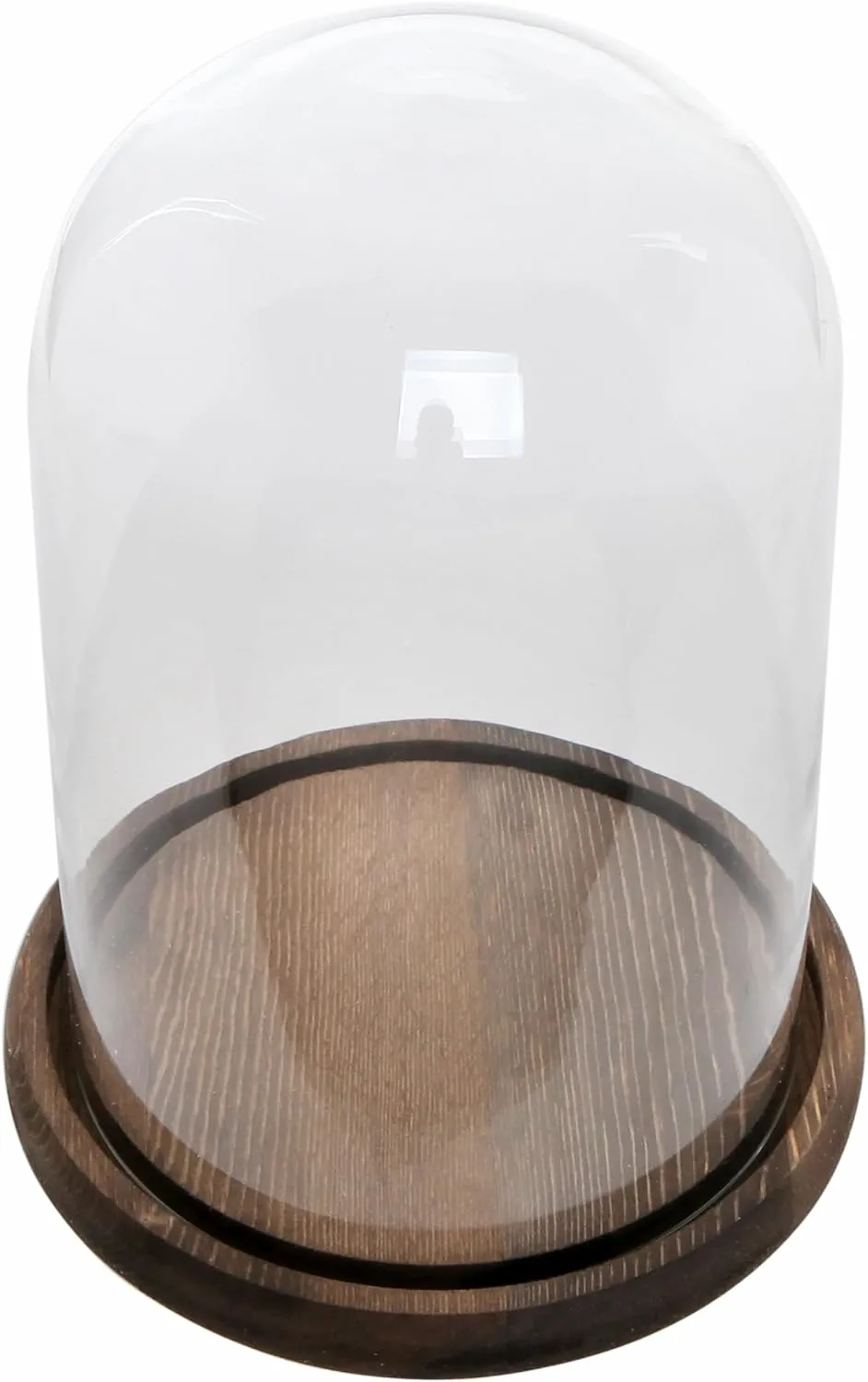 MyGift The Bell Jar Glass Cloche with Rustic Wood Base, 10 Inch Tall Clear Decorative Glass Dome Display for Plants, Curios, Keepsakes, Heirlooms