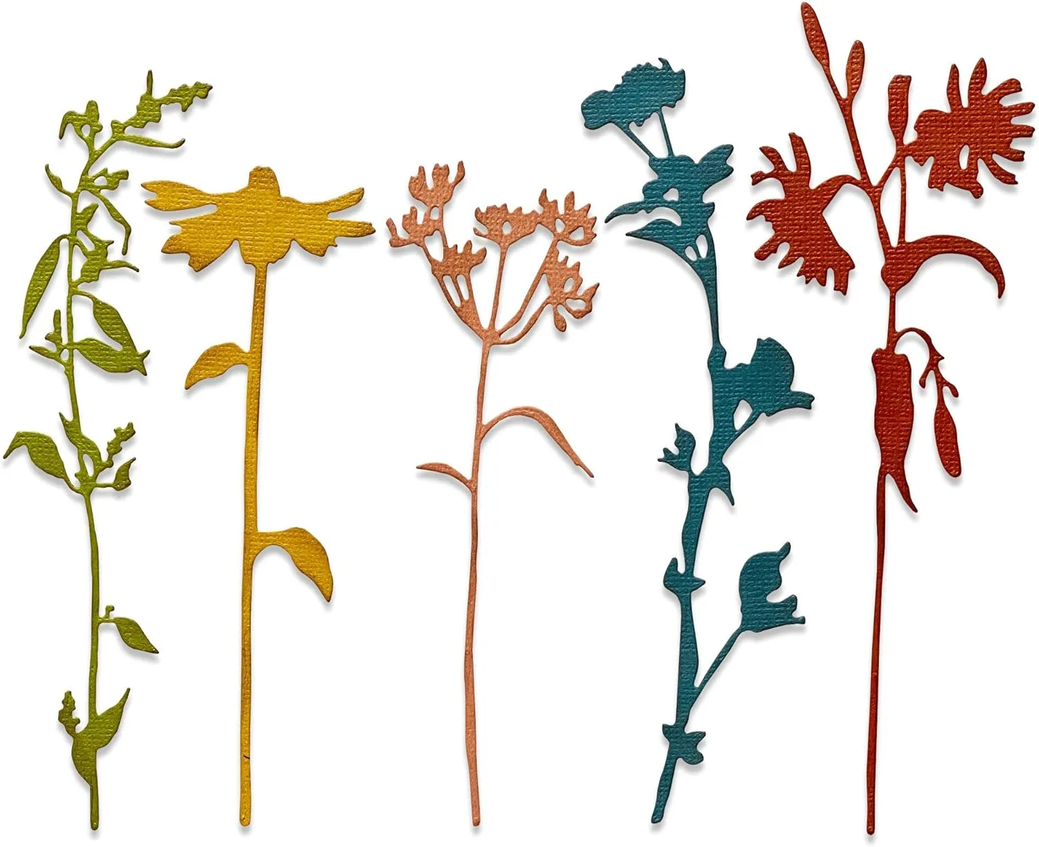 Sizzix Thinlits Die 665221 Wildflower Stems #3 by Tim Holtz 5 Pack, Multicolor
