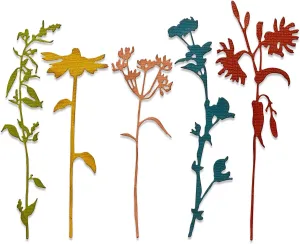 Sizzix Thinlits Die 665221 Wildflower Stems #3 by Tim Holtz 5 Pack, Multicolor