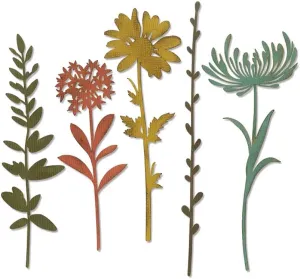 Sizzix Thinlits Die Set , Wildflower Stems #1 by Tim Holtz, 5 Pack, One Size, Multicolor 5 Piece