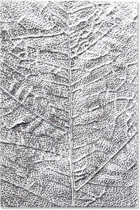 Sizzix 3-D Textured Impressions Embossing Folder, Multicolor