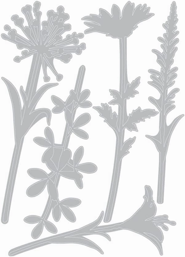 Sizzix Thinlits Die Set , Wildflower Stems #2 by Tim Holtz, 5 Pack, One Size, Multicolor 5 Piece