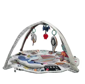 Skip Hop Vibrant Village Smart Lights Activity Gym