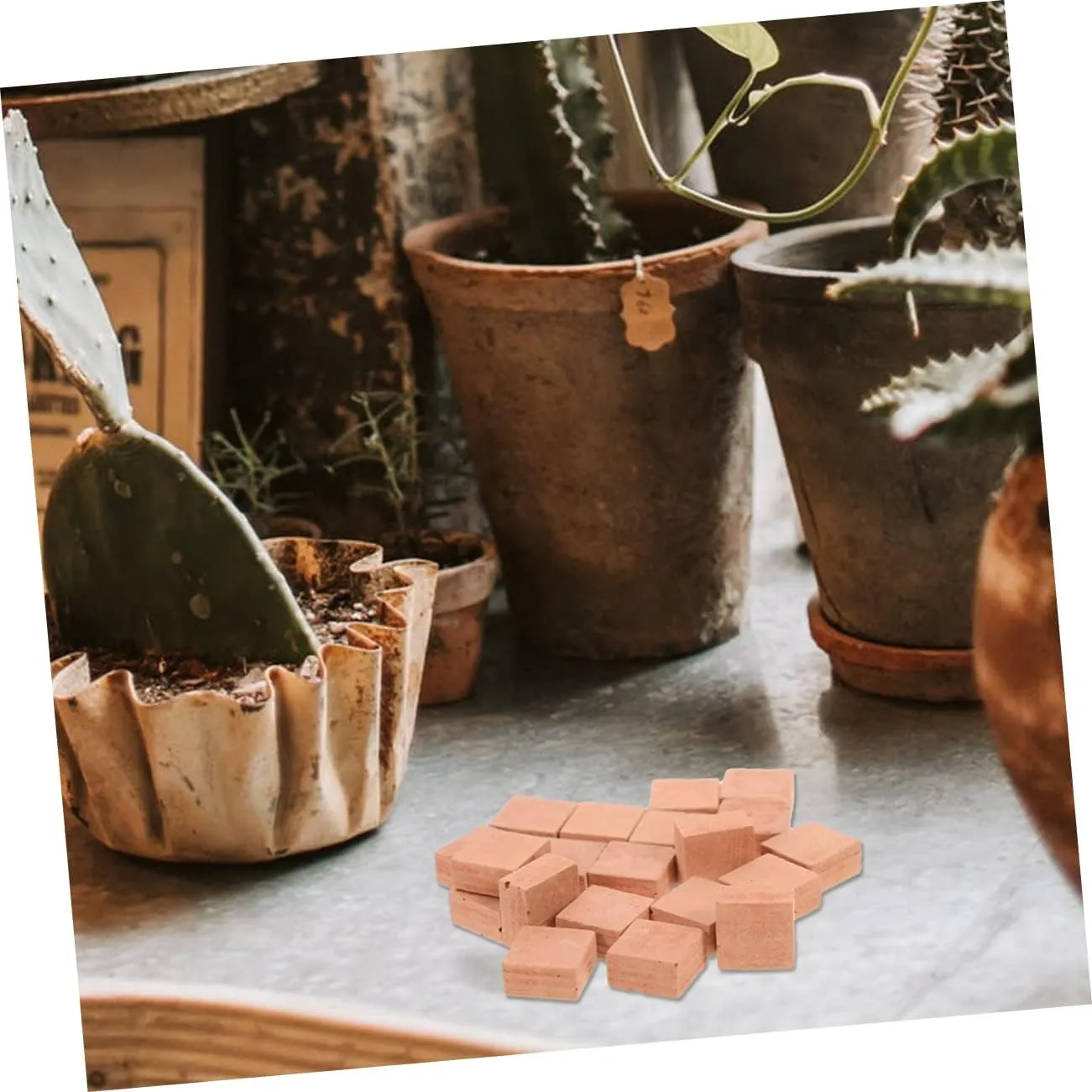 Sosoport 3sets 40pcs Miniature Square Shape Bricks for DIY Landscaping Faux Model Decor for Creating Houses and Gardens Compact and Practical Building Accessories 40pcs*3