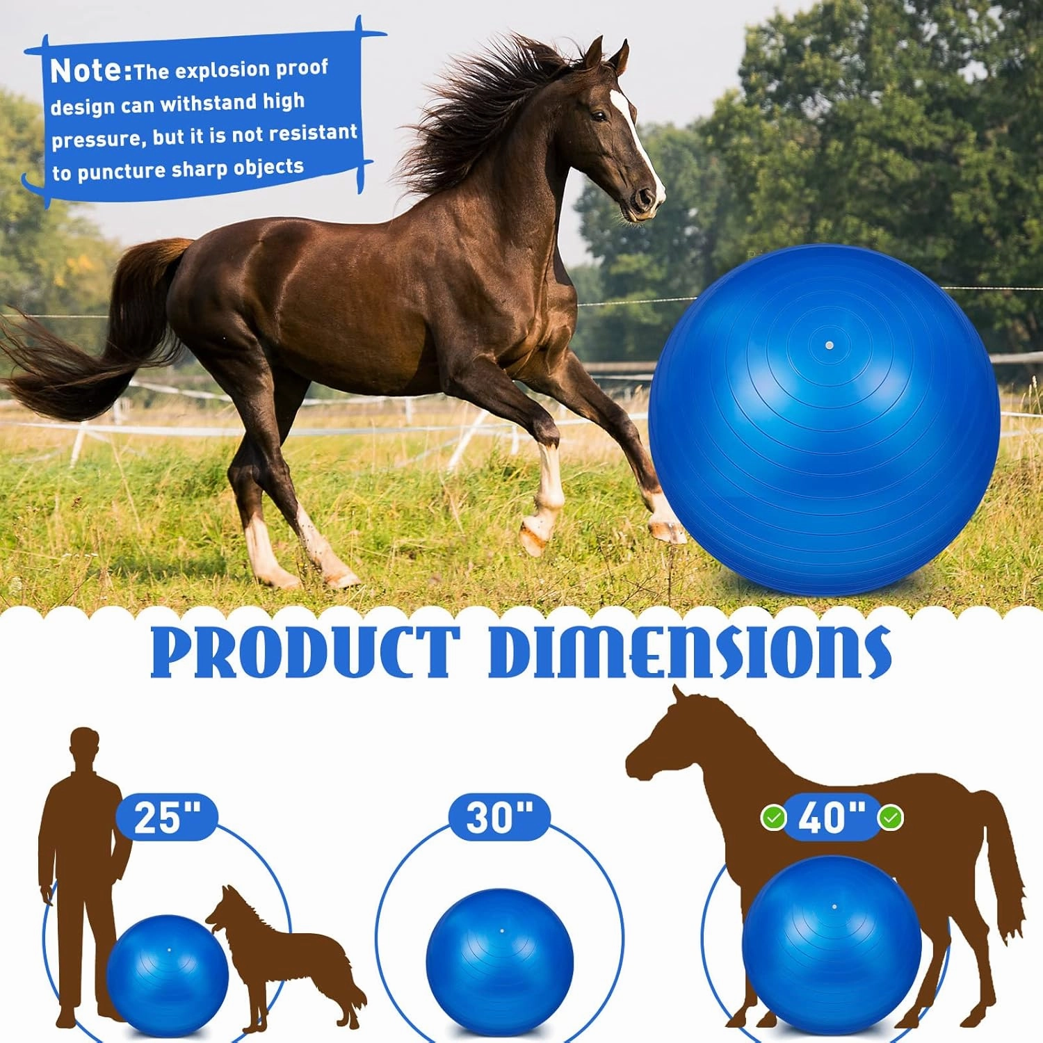 Sotiff 2 Pcs 40 Inch Horse Ball for Play Large Horse Big Equine Herding Anti Burst Dog Ball Soccer Giant, Pump Included(40 Inch,Blue)