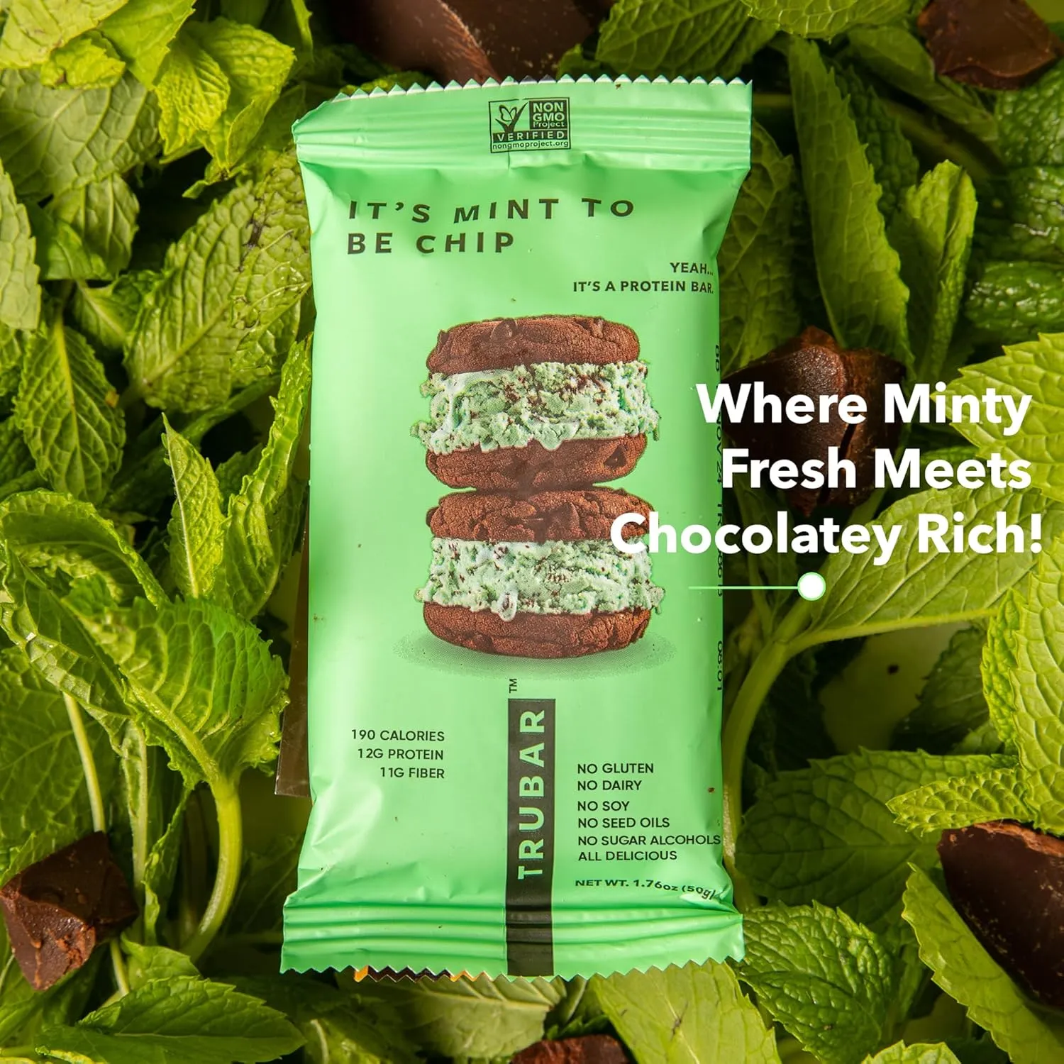 TRUBAR Vegan Protein Bar, It’s Mint to Be Chip, Gluten Free, Plant Based High Fiber, Dairy Free, Low Fat, Non GMO, No Sugar Alcohols, 12G Lean Protein, 13G Fiber, Healthy Snack Bars, 12 CT