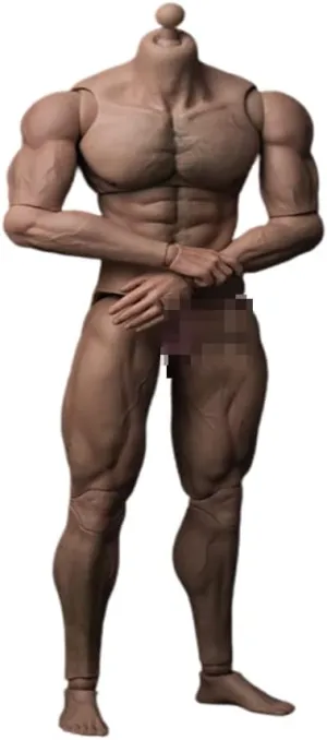 Worldbox 1/6 Scale Action Figure Male Muscular Body Toys Durable Bady-Ripped Doll for Most Head Sculpt (AT027), SJYT-001, Medium, Multicolored
